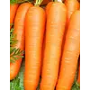 Семена моркови Флакке 0,5 кг