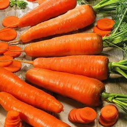 Семена моркови Коралл 0,5 кг