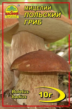Польский гриб 10 г