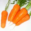 Семена моркови Шантане 0,5 кг