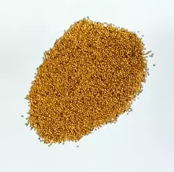 Семена горчицы желтой 1 кг (Насіння країни)
