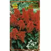 Семена Сальвия красная 0,1 г (Насіння країни) Семена Сальвия красная 0,1 г (Насіння країни)
