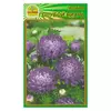 Семена Астра голубой вихрь 0,3 г (Насіння країни) Семена Астра голубой вихрь 0,3 г (Насіння країни)