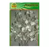 Семена Лунник (лунария) 10 шт. (Насіння країни) Семена Лунник (лунария) 10 шт. (Насіння країни)