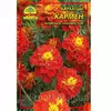 Цветы Бархатцы (чернобривцы) Кармен - 3 г Цветы Бархатцы (чернобривцы) Кармен - 3 г