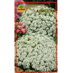 Семена Алиссум 0.1 г (Насіння країни) Семена Алиссум 0.1 г (Насіння країни)