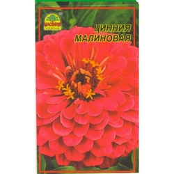 Семена Цинния малиновая 0,5 г (Насіння країни) Семена Цинния малиновая 0,5 г (Насіння країни)