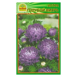 Семена Астра голубой вихрь 0,3 г (Насіння країни) Семена Астра голубой вихрь 0,3 г (Насіння країни)