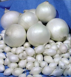 Лук севок Гледстоун (GLADSTONE) - 0,5 кг Лук севок Гледстоун (GLADSTONE) - 0,5 кг