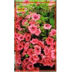 Семена Петуния Роза небес 0,05 г (500 шт.) Семена Петуния Роза небес 0,05 г (500 шт.)