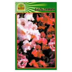 Семена Бальзамин 0,5 г (Насіння країни) Семена Бальзамин 0,5 г (Насіння країни)