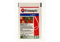 Фунгицид от фитофтороза Квадрис 6 мл (Сингента) Фунгицид от фитофтороза Квадрис 6 мл (Сингента)