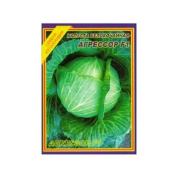 Семена капусты Агрессор F1 10 шт. (Syngenta) Семена капусты Агрессор F1 10 шт. (Syngenta)