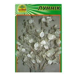 Семена Лунник (лунария) 10 шт. (Насіння країни) Семена Лунник (лунария) 10 шт. (Насіння країни)