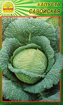Капуста Савойская - 10 шт Капуста Савойская - 10 шт