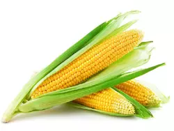 Семена кукурузы Вега 0.5 кг