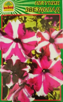 Семена Петуния Звездопад 100шт Семена Петуния Звездопад 100шт