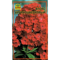 Семена Флокс крупноцветковый 30 шт. (Насіння країни) Семена Флокс крупноцветковый 30 шт. (Насіння країни)