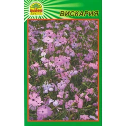 Семена Вискария 0,2 г (Насіння країни) Семена Вискария 0,2 г (Насіння країни)