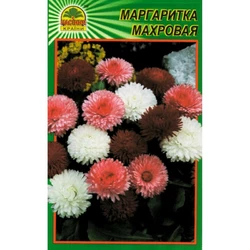 Семена Маргаритка махровая 100 шт. (Насіння країни) Семена Маргаритка махровая 100 шт. (Насіння країни)