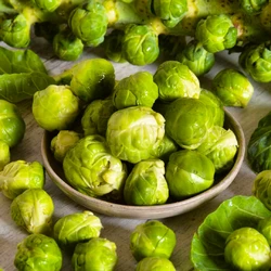 Семена капусты брюссельской Гронингер 100 г Семена капусты брюссельской Гронингер 100 г
