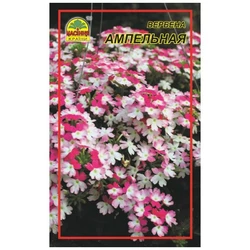 Семена Вербена ампельная 0,1 г (Насіння країни) Семена Вербена ампельная 0,1 г (Насіння країни)