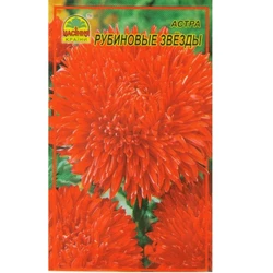 Семена Астра рубиновые звезды 0,3 г (Насіння країни) Семена Астра рубиновые звезды 0,3 г (Насіння країни)