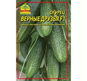 Семена огурца Верные друзья F1 3 г (ок. 120 шт.) Семена огурца Верные друзья F1 3 г (ок. 120 шт.)