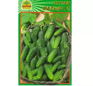 Семена огурца Малыш F1 15 шт. (Насіння країни) Семена огурца Малыш F1 15 шт. (Насіння країни)