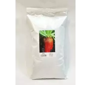 Свекла кормовая Киевская розовая 0,5 кг Свекла кормовая Киевская розовая 0,5 кг