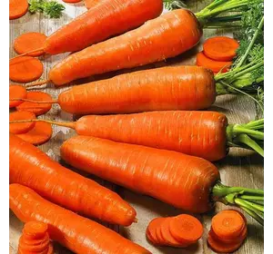 Семена моркови Коралл 0,5 кг Семена моркови Коралл 0,5 кг