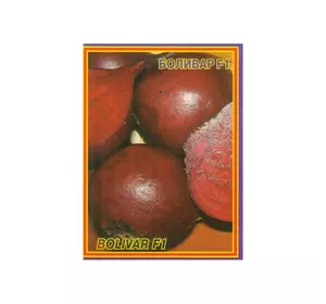 Семена свеклы Боливар F1 80 шт. (Насіння країни) Семена свеклы Боливар F1 80 шт. (Насіння країни)