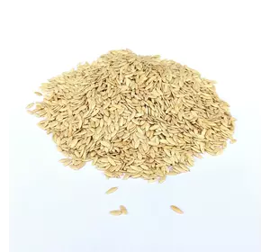 Семена огурца Монастырский 0,5 кг Семена огурца Монастырский 0,5 кг