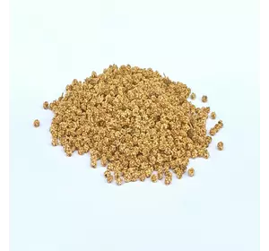 Семена свеклы Детройт 0,5 кг Семена свеклы Детройт 0,5 кг