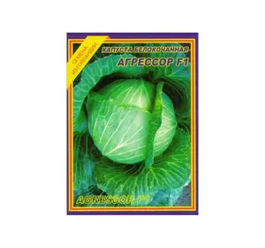 Семена капусты Агрессор F1 10 шт. (Syngenta) Семена капусты Агрессор F1 10 шт. (Syngenta)