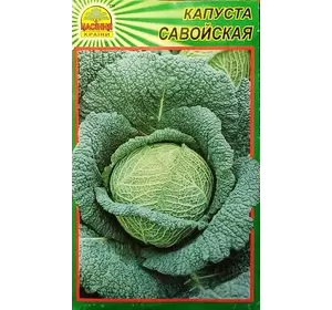 Капуста Савойская - 10 шт Капуста Савойская - 10 шт