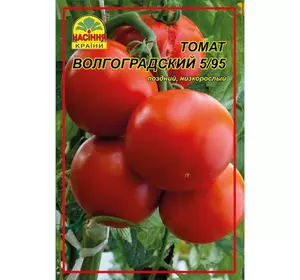 Семена томата Волгоградский 5/95 500 шт. (Насіння країни)