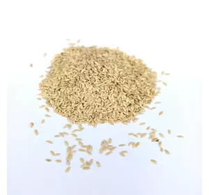 Семена огурца Засолочный 0,5 кг
