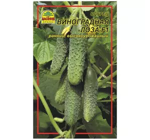 Семена огурца Виноградная лоза F1 3 г (ок. 120 шт.)