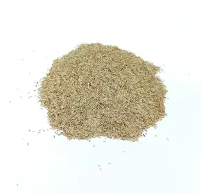 Семена салата Одесский кучерявец 100 г Семена салата Одесский кучерявец 100 г