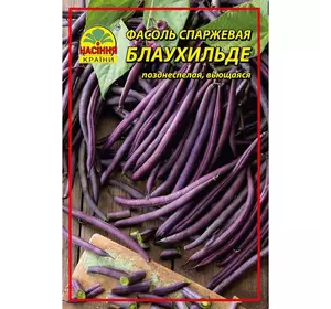 Фасоль спаржевая фиолетовая Блаухильде 0,5 кг Фасоль спаржевая фиолетовая Блаухильде 0,5 кг