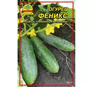 Семена огурца Феникс 10 г (ок. 400 шт.)