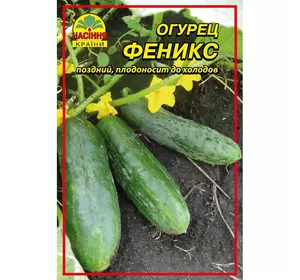 Семена огурца Феникс 10 г (ок. 400 шт.) Семена огурца Феникс 10 г (ок. 400 шт.)