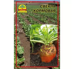 Семена свеклы кормовой Рекорд поли 20 г (Насіння країни) Семена свеклы кормовой Рекорд поли 20 г (Насіння країни)