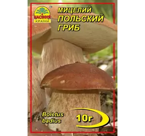 Польский гриб 10 г