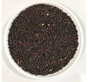 Семена Рапса 1 кг (Насіння країни)