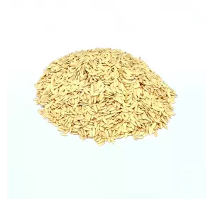Семена огурца Феникс плюс 0,5 кг