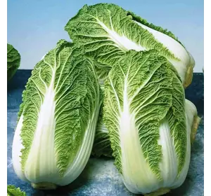 Семена капусты пекинской 100 г Семена капусты пекинской 100 г