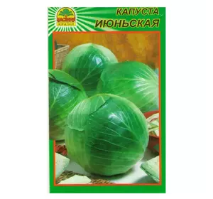 Семена капусты Июньская 1 г (Насіння країни) Семена капусты Июньская 1 г (Насіння країни)